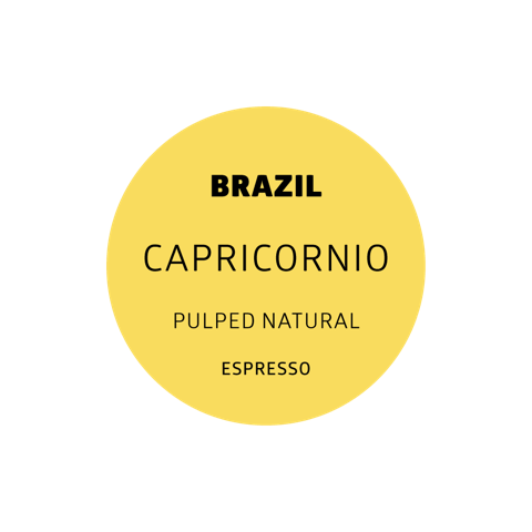 Brazilcapricornioespresso-01-01_1512x_1.png